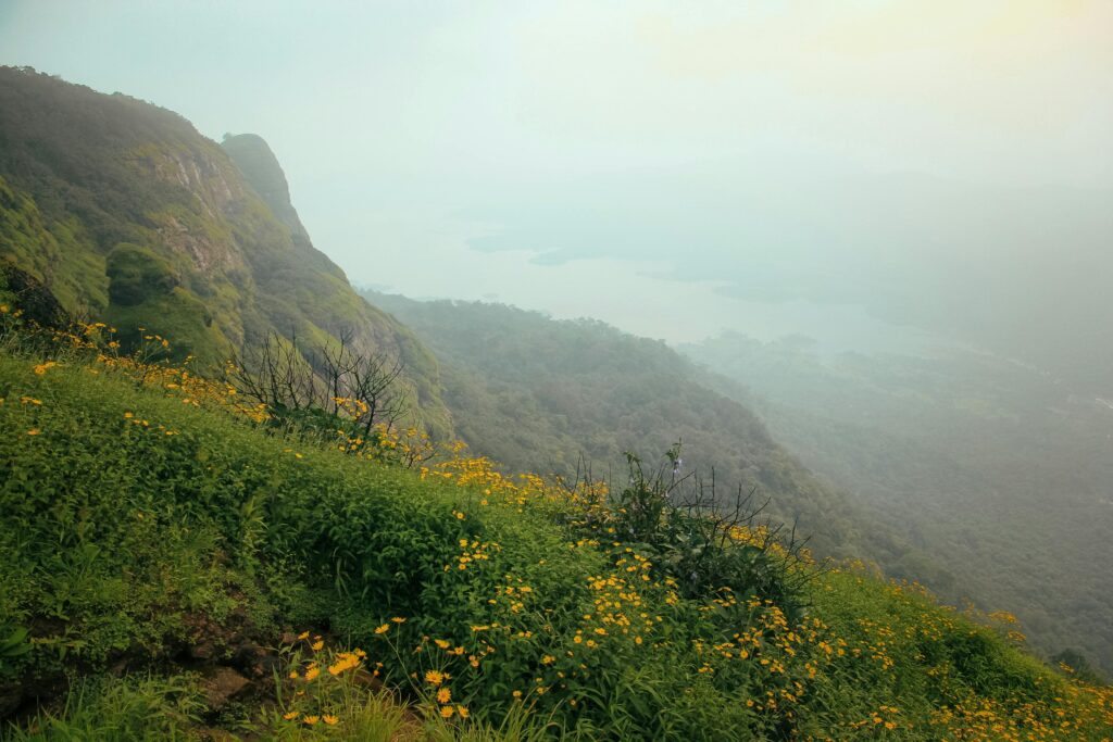 A foggy view of Matheran's lush and vibrant mountain landscape with yellow flora.