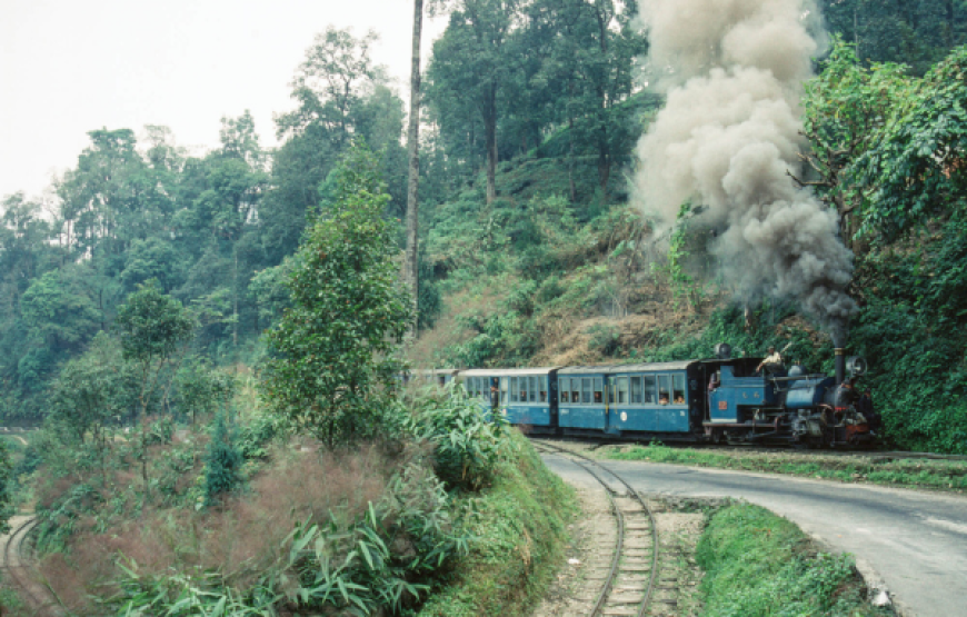Mysore / Coorg Family Vacation