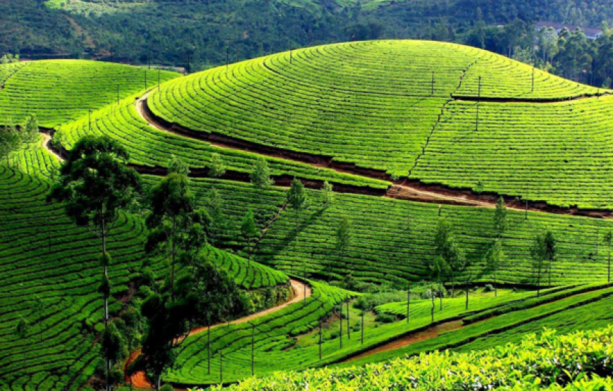 Mysore / Coorg Family Vacation