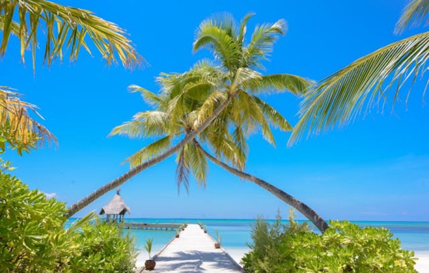 Maldives
