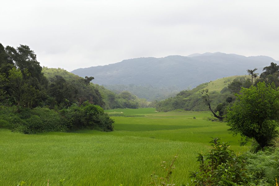 Sakleshpur