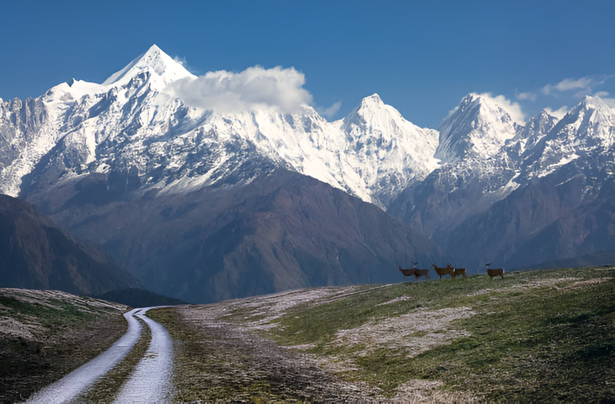 Uttaranchal