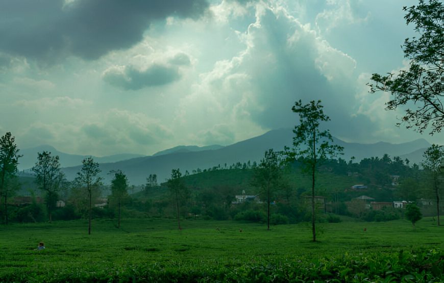 Wayanad