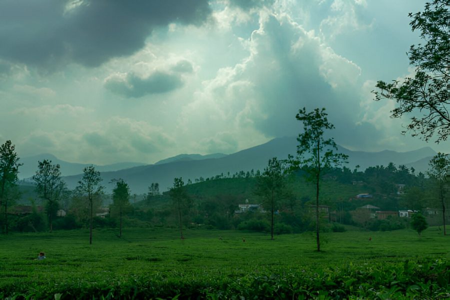 Wayanad