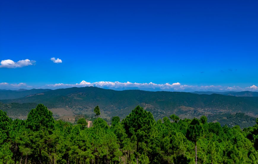 Nainital / Corbett Family Vacation