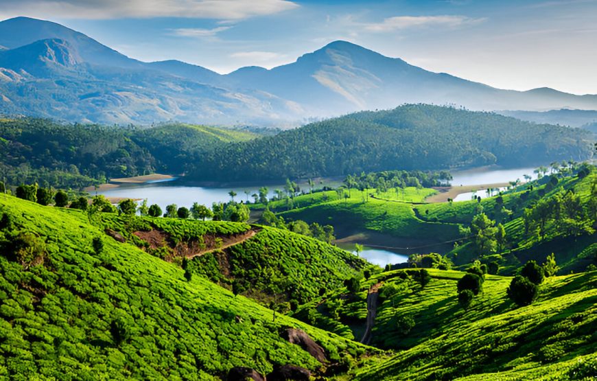 Munnar / Kovalam