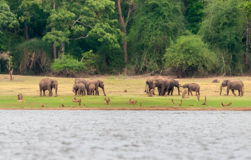 Bandipur