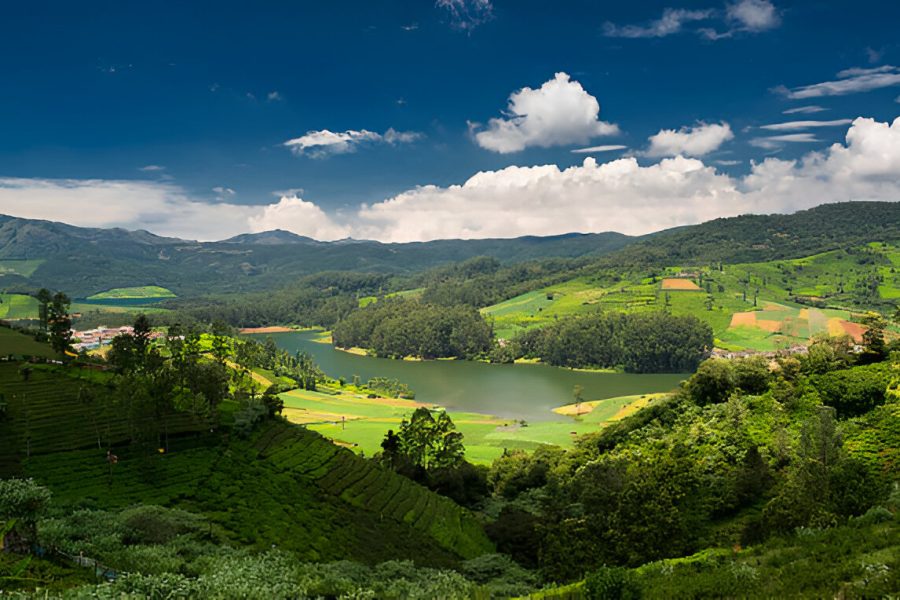 Coorg
