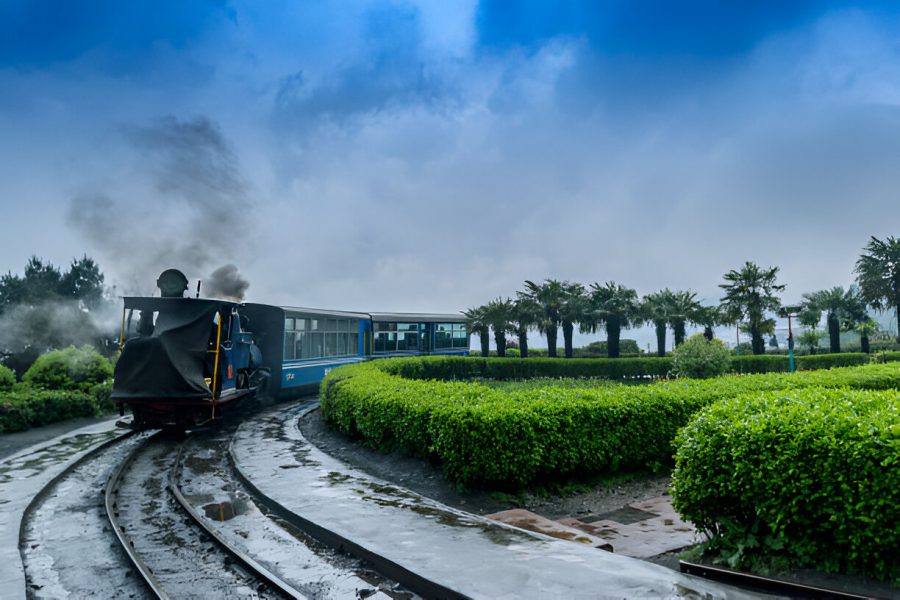 Darjeeling Honeymoon Vacation