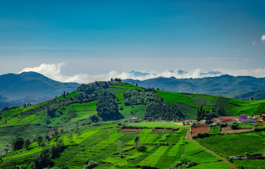 Ooty